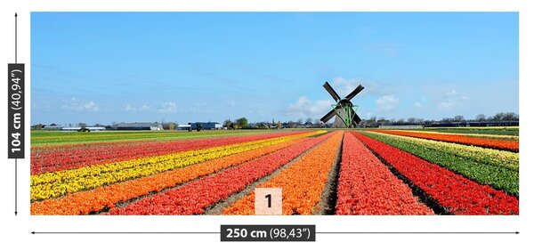 Fototapet Windmill Lalele
