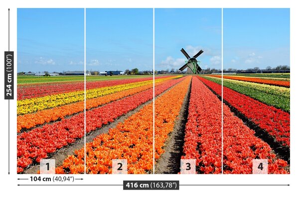 Fototapet Windmill Lalele