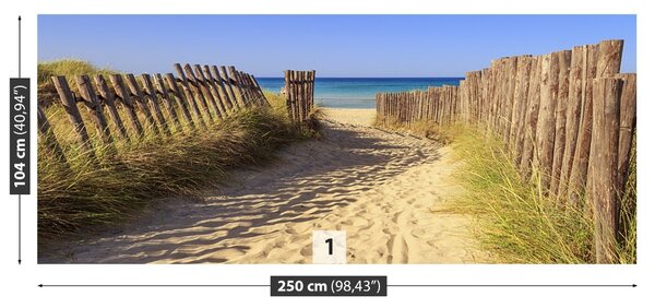 Fototapet Dunes Sea