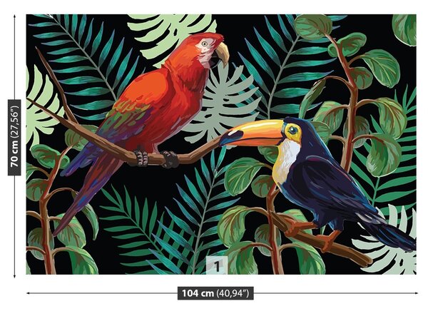 Fototapet Ara Toucan