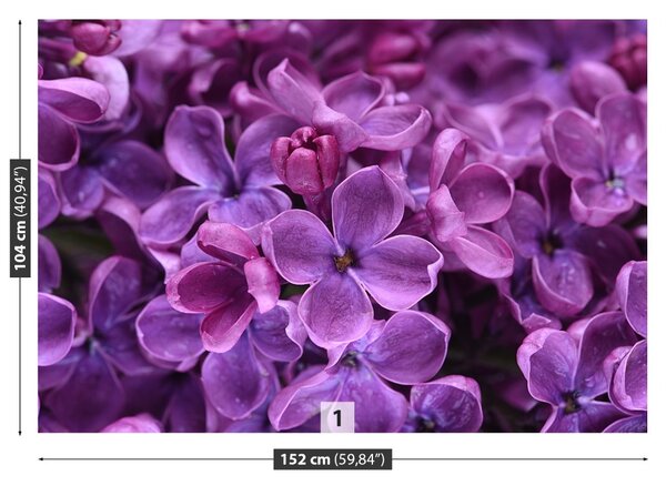 Fototapet Violet Flori