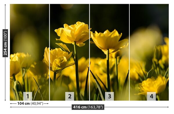 Fototapet Yellow Tulip