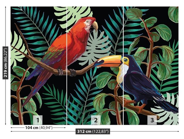 Fototapet Ara Toucan