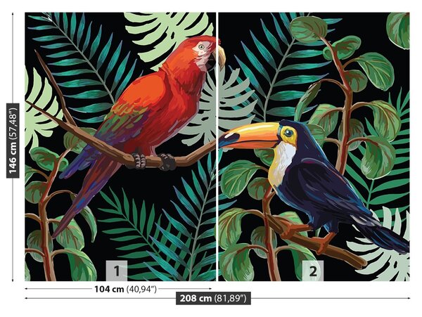 Fototapet Ara Toucan