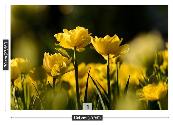 Fototapet Yellow Tulip