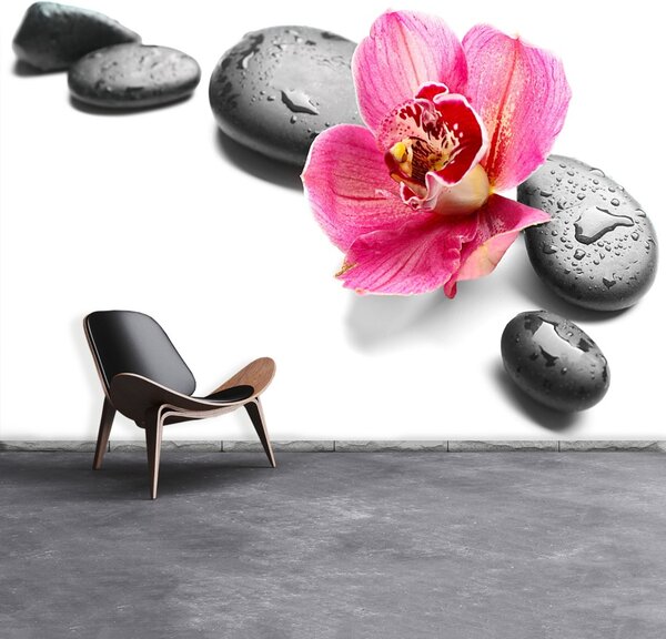 Fototapet Orchid Stones