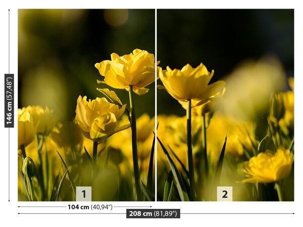Fototapet Yellow Tulip