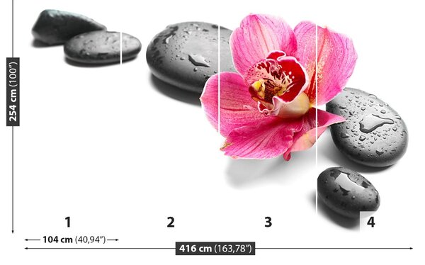 Fototapet Orchid Stones