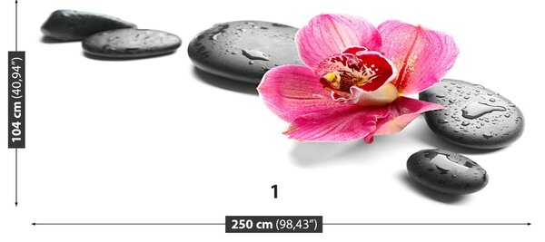 Fototapet Orchid Stones