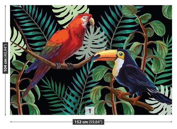 Fototapet Ara Toucan