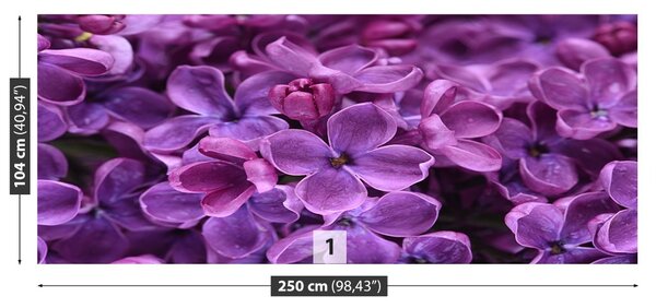 Fototapet Violet Flori