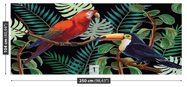 Fototapet Ara Toucan