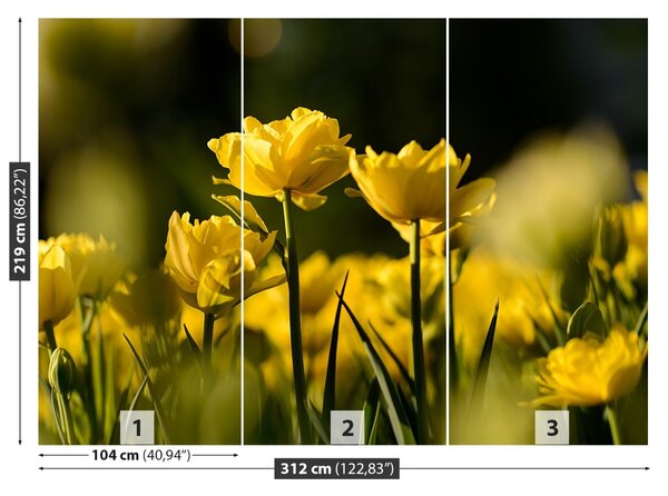 Fototapet Yellow Tulip