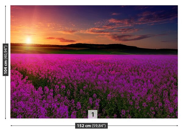 Fototapet Pink Meadow