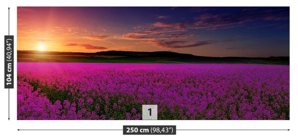 Fototapet Pink Meadow