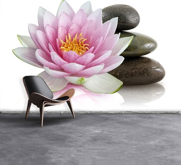 Fototapet Floare de lotus