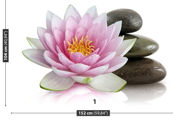 Fototapet Floare de lotus