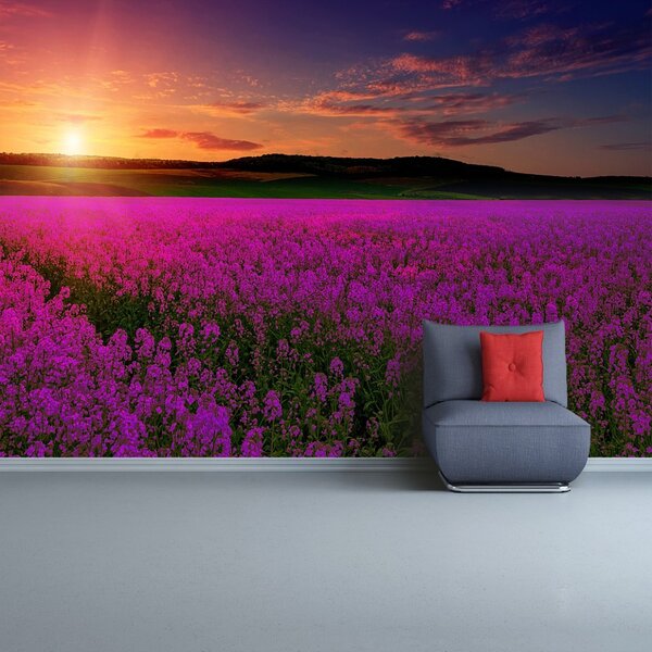Fototapet Pink Meadow