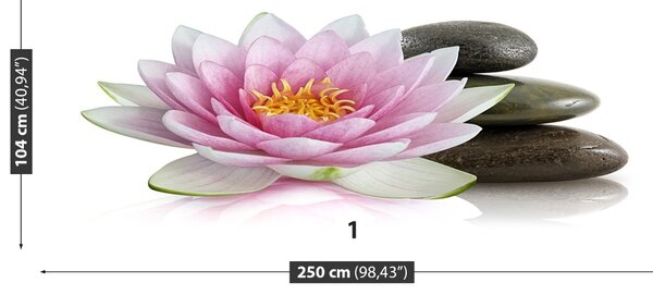 Fototapet Floare de lotus