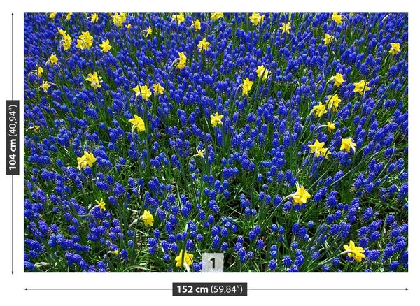 Fototapet Lupin Flori