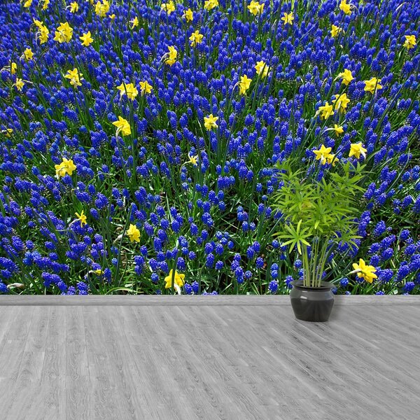Fototapet Lupin Flori