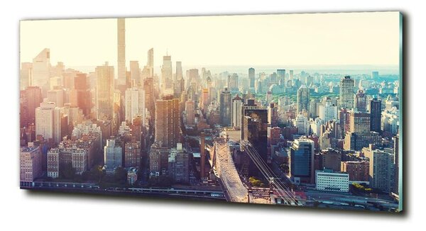 Tablou sticlă New York pasăre de zbor