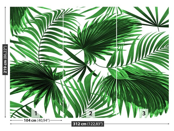 Fototapet Frunze de palmier