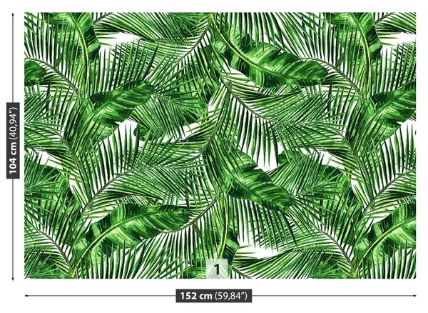 Fototapet Frunze tropicale