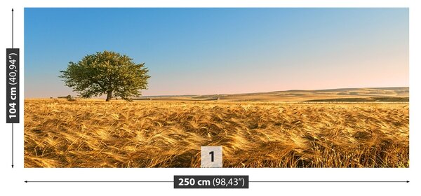 Fototapet Un câmp de cereale