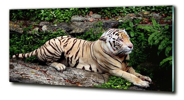 Tablou sticlă Tiger pe stâncă