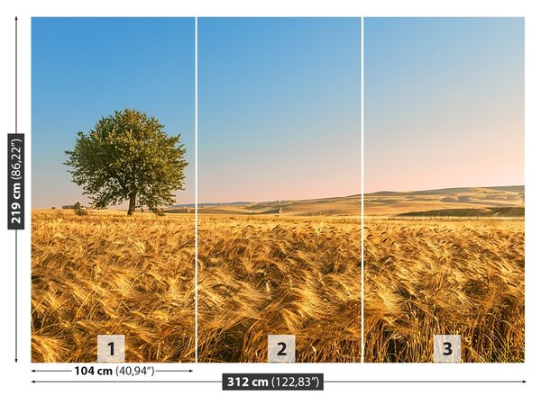 Fototapet Un câmp de cereale