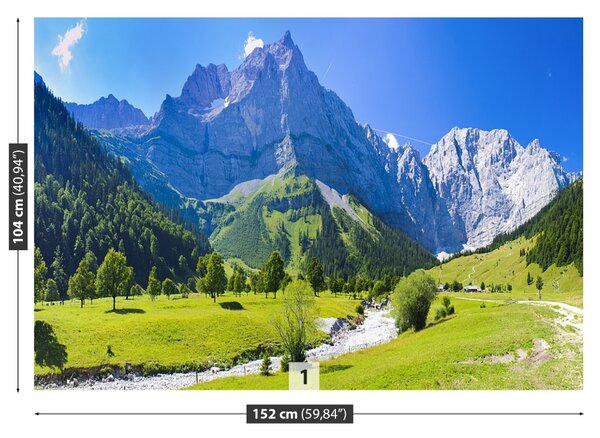 Fototapet Panorama Alpii
