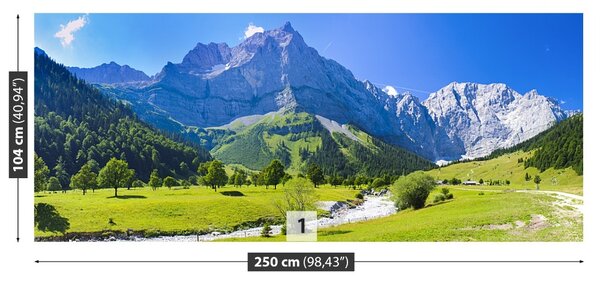 Fototapet Panorama Alpii