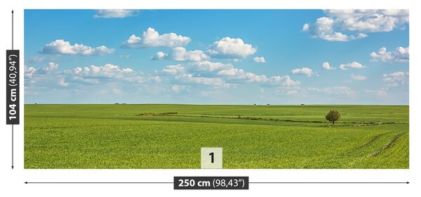 Fototapet Meadow Heaven