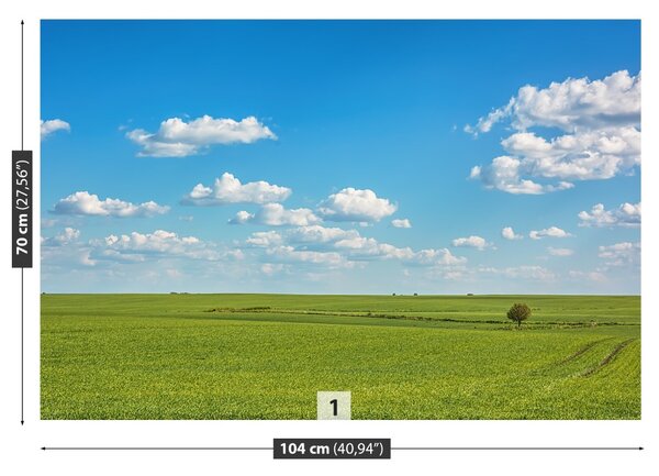 Fototapet Meadow Heaven