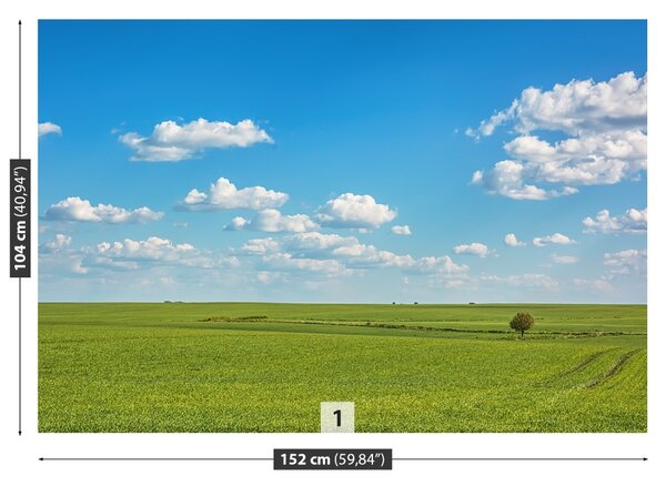 Fototapet Meadow Heaven