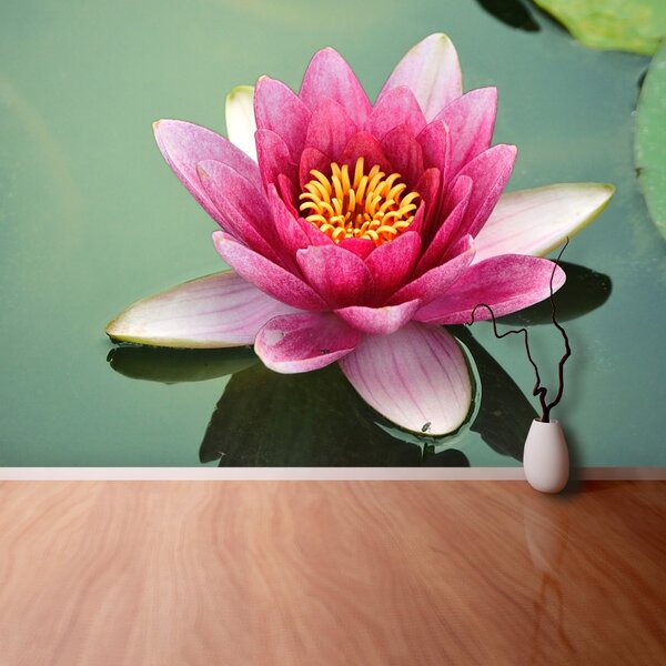 Fototapet Floare de lotus