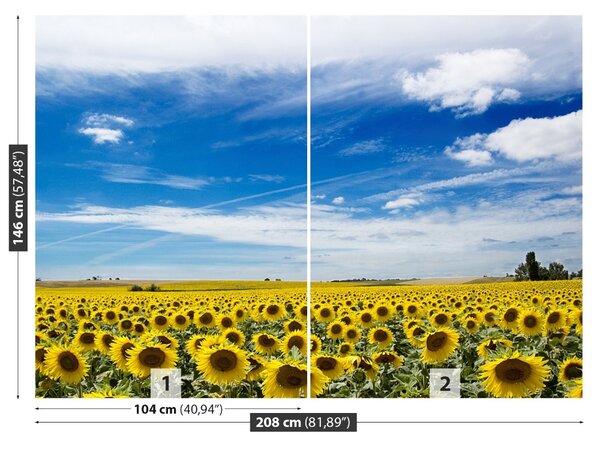Fototapet Domeniu de Sunflowers