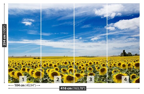 Fototapet Domeniu de Sunflowers