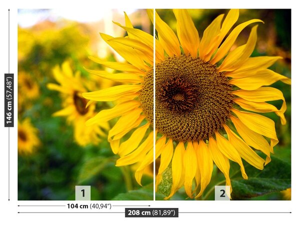 Fototapet Floarea soarelui galben