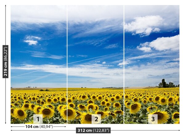 Fototapet Domeniu de Sunflowers