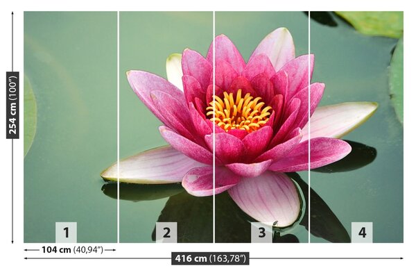 Fototapet Floare de lotus