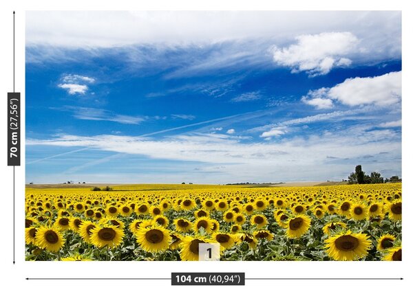 Fototapet Domeniu de Sunflowers
