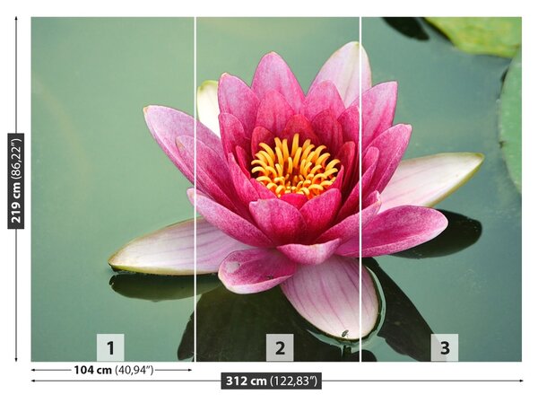 Fototapet Floare de lotus