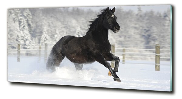 Tablou pe pe sticlă Un cal în galop de zăpadă