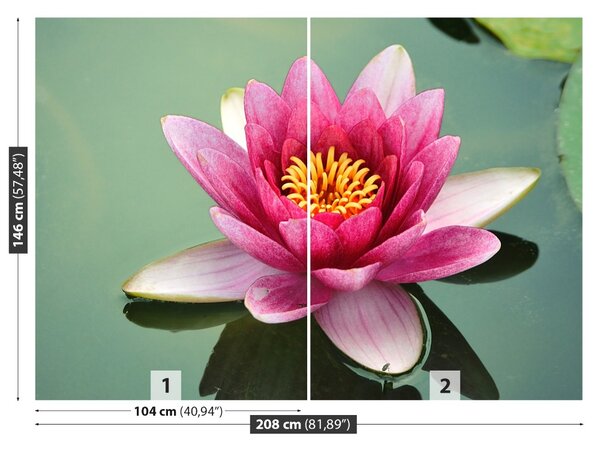 Fototapet Floare de lotus