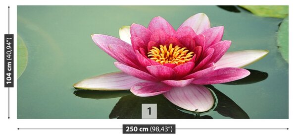 Fototapet Floare de lotus