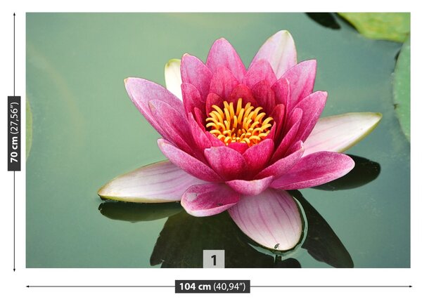 Fototapet Floare de lotus