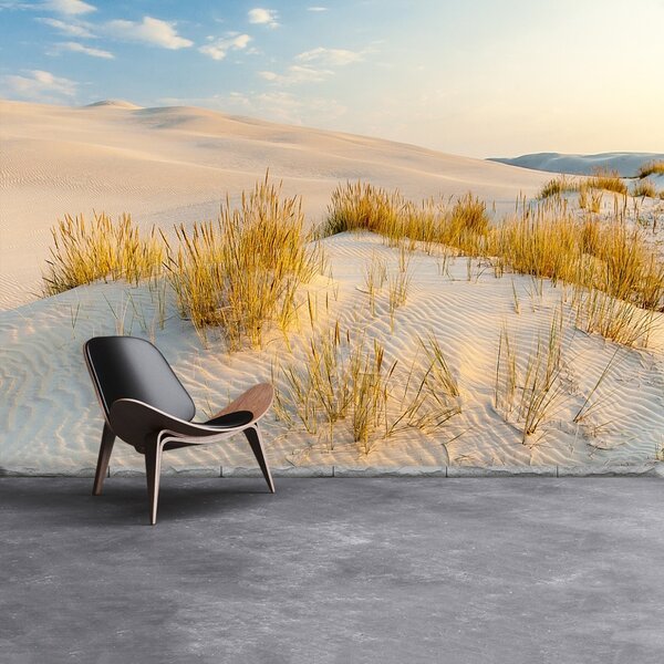 Fototapet Bunesk Dunes