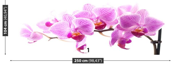 Fototapet roz Orhidee